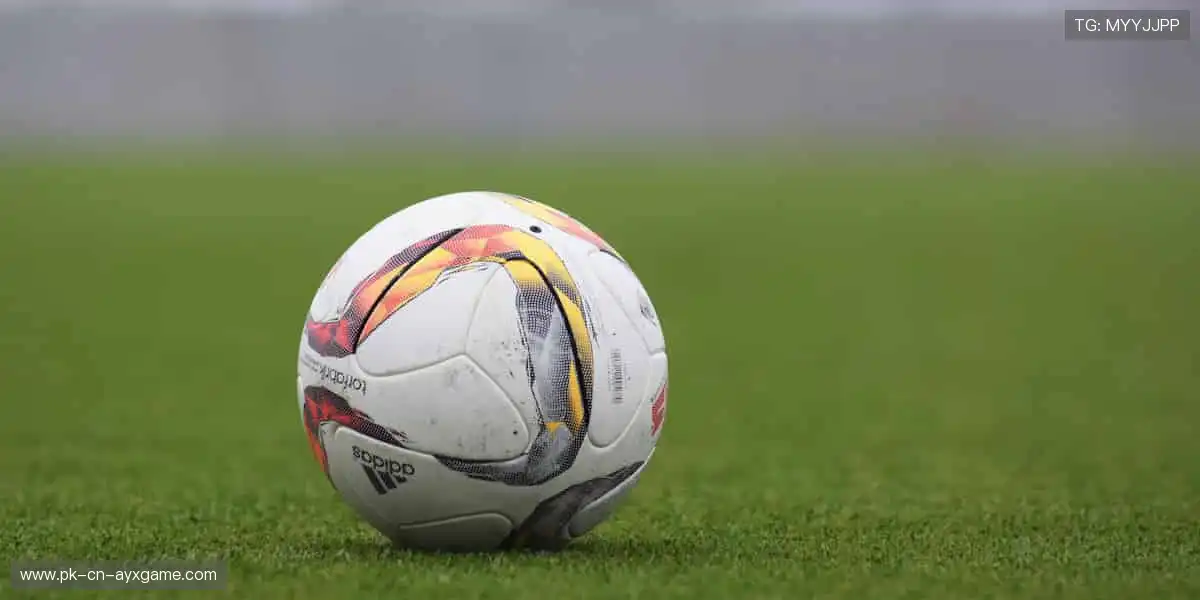 🔥 汗水与欢呼共鸣，